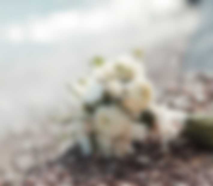 https://grandvek.by/wp-content/uploads/2019/06/service01-710x620.jpg